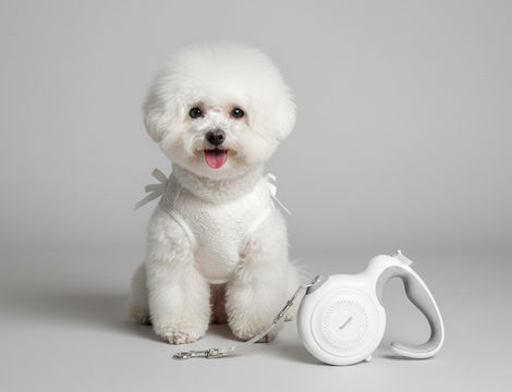 자동 강아지 리드줄